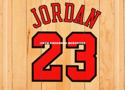 28圈中国-亚洲劲旅强势出击 国际赛场勇夺桂冠