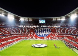 28圈中国-拉列纳进球无效，佩鲁贾主场战败乌迪内斯