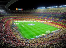 28圈中国-巴西球员因伤退出赛事，团队受影响，巴西队员是谁