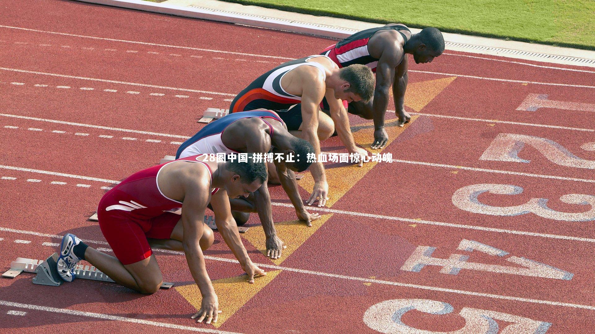 28圈中国-拼搏不止:热血场面惊心动魄