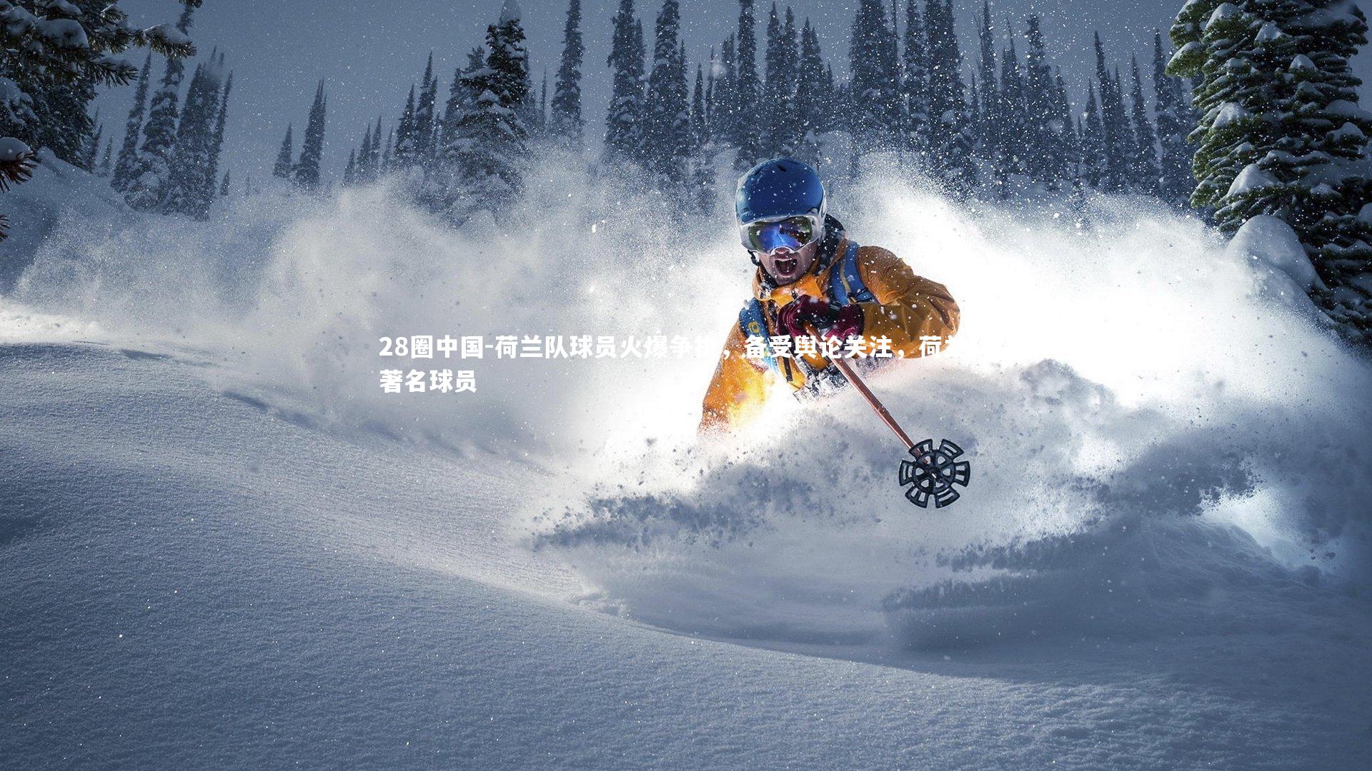 荷兰队球员火爆争执，备受舆论关注，荷兰队著名球员