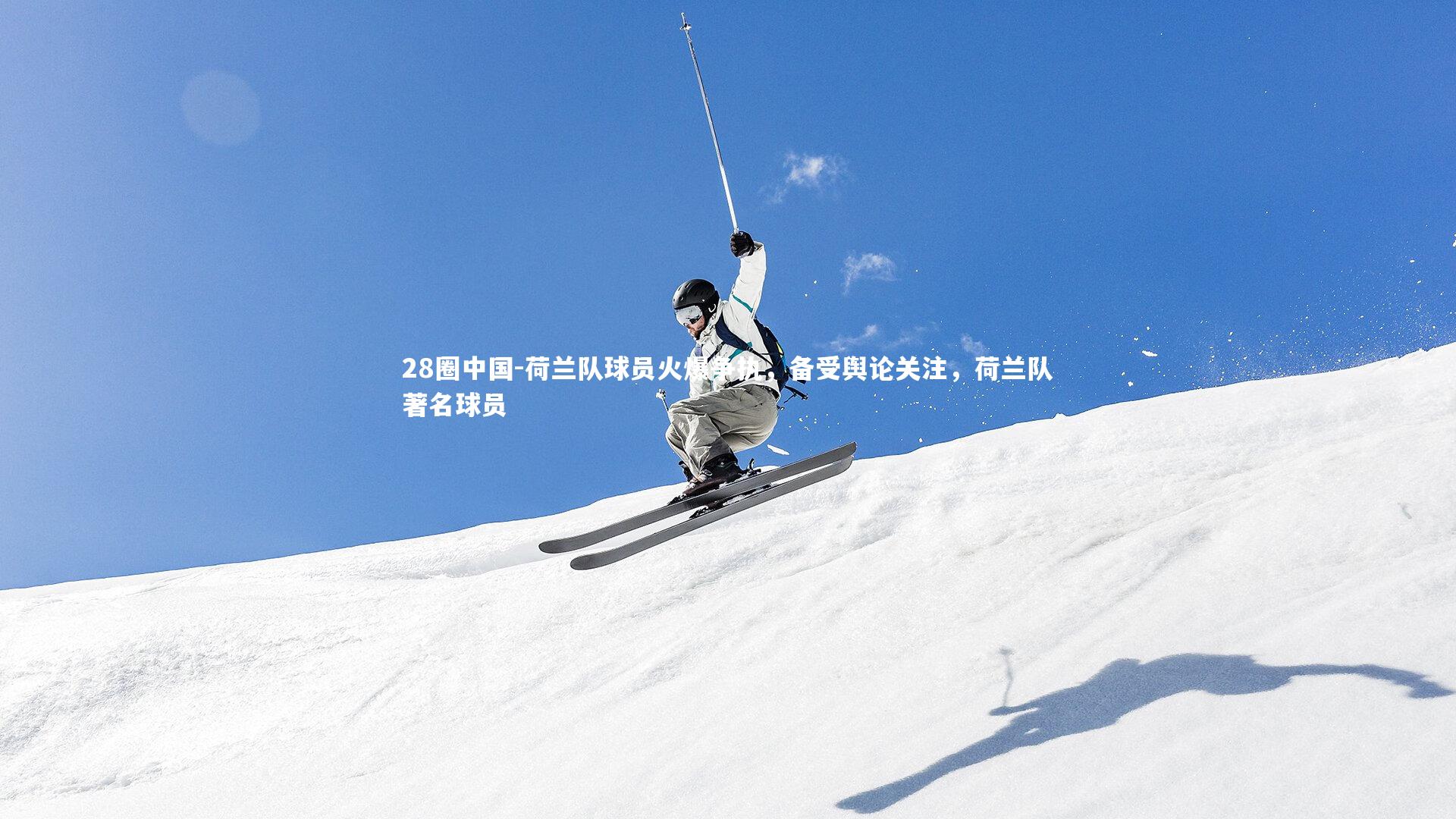 荷兰队球员火爆争执，备受舆论关注，荷兰队著名球员